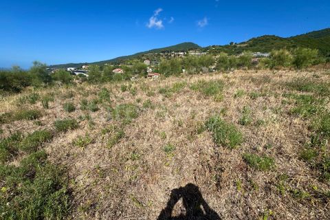 Helårsgrund i Ospedaletti, Imperia, Ospedaletti - € 180.000 | Ref: EM1311 - foto 17